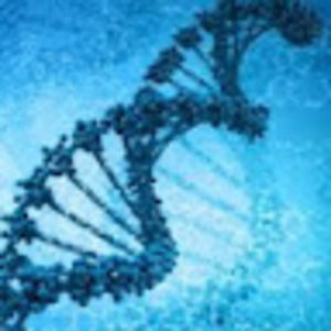 Meet your Posher, Fowzon